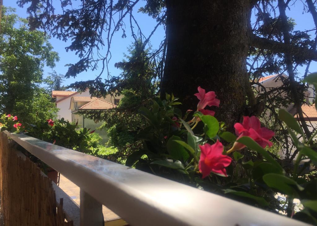 New Royal Bed & Breakfast Agerola Exterior foto